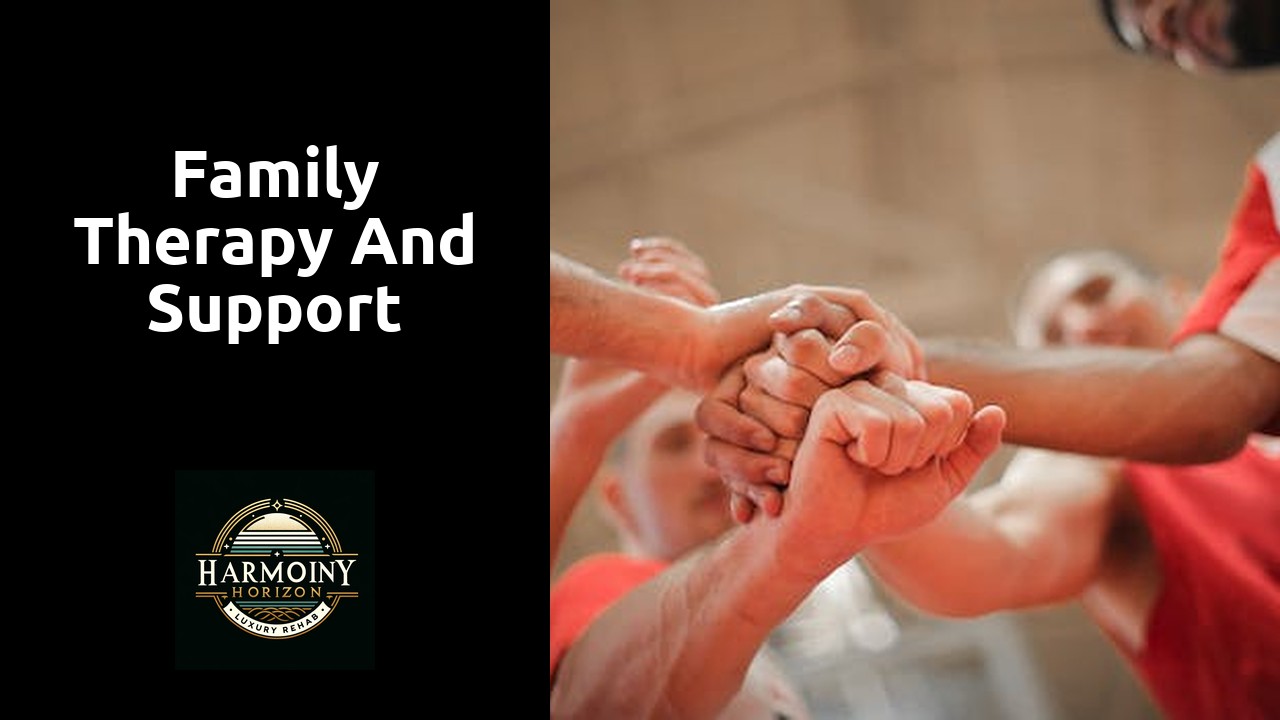 Family therapy and support