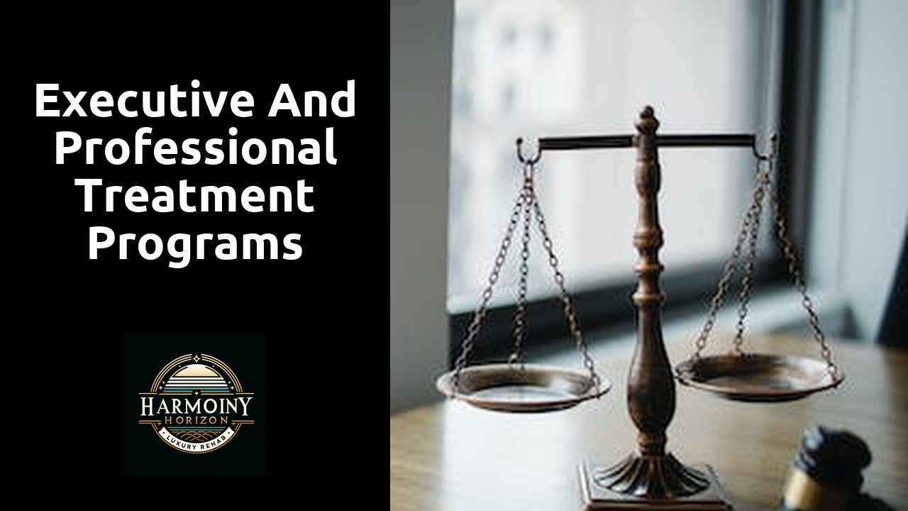 Executive and professional treatment programs