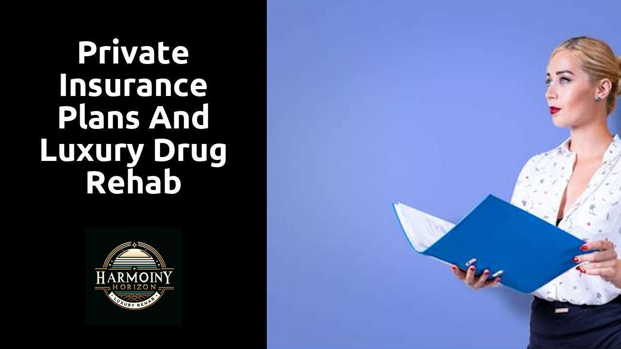 Private Insurance Plans and Luxury Drug Rehab